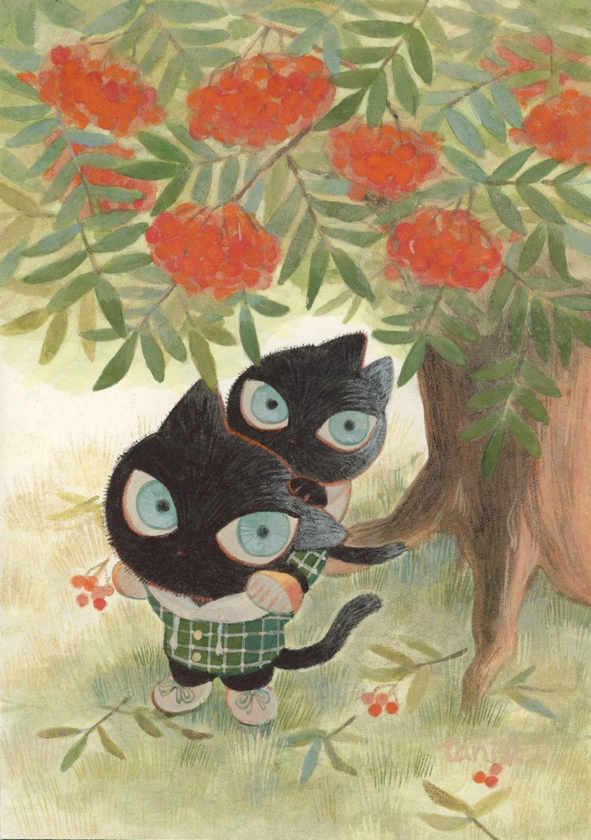 たにこうたろう☀︎絵本制作中 tweet media