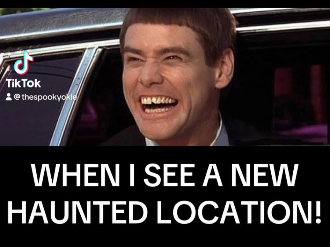 View all our upcoming events on our website: 
spiritseekers.info
Use promo code: MUM 
FOR 40% OFF!! 👻