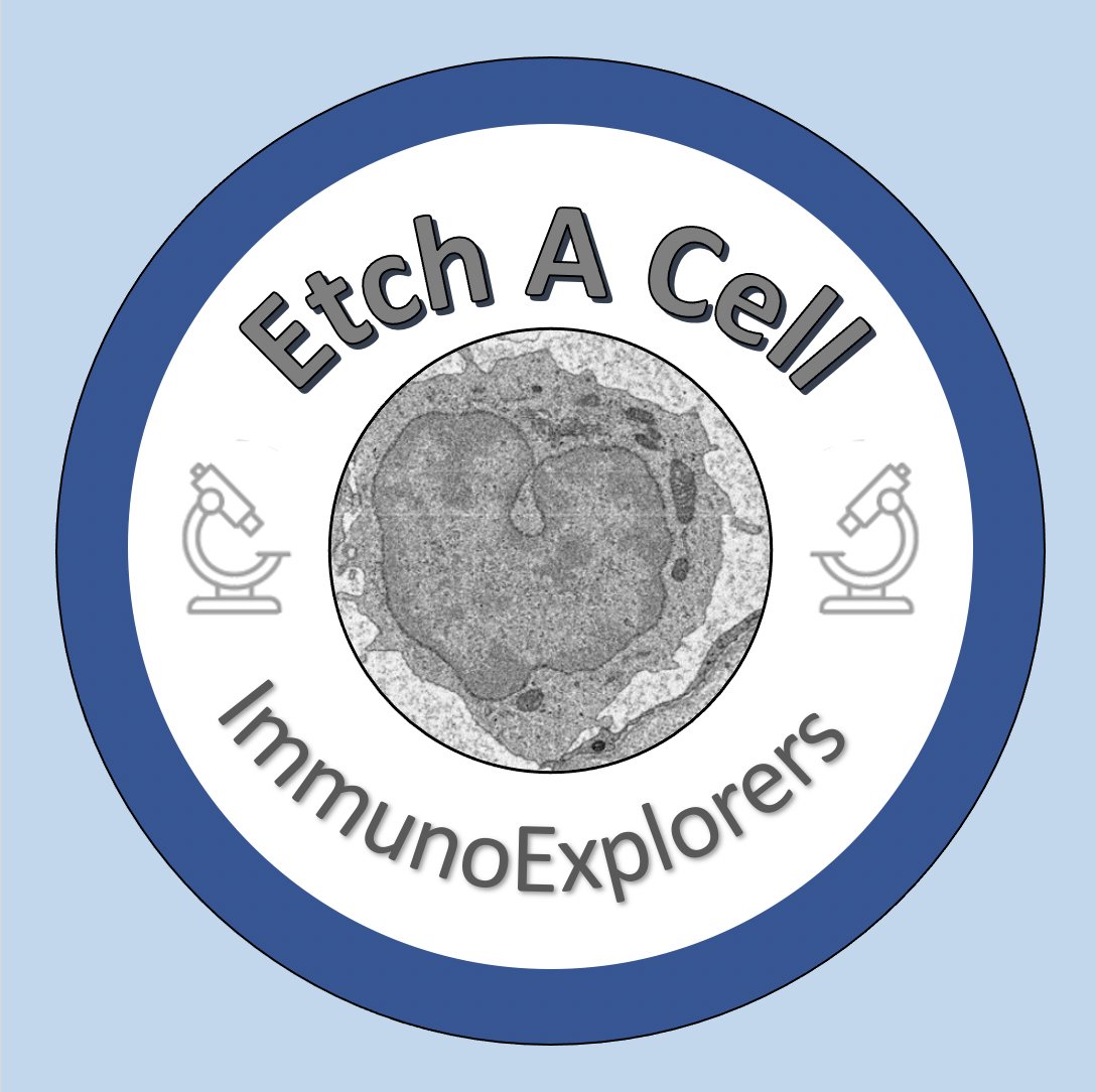 Etch a cell tweet media