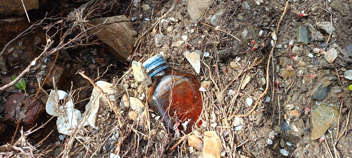 JoseLuisSTAP's tweet image. Avui @parcncollserola de Barcelona. @ecovidrio i @ecoembes primen els beneficis i no la seva responsabilitat social i legal de recuperar els #envasos que inunden el mercat. Els contenidors verd/groc no funcionen i es neguen a reduir envasos i un Sistema de Dipòsit i @_Retorna