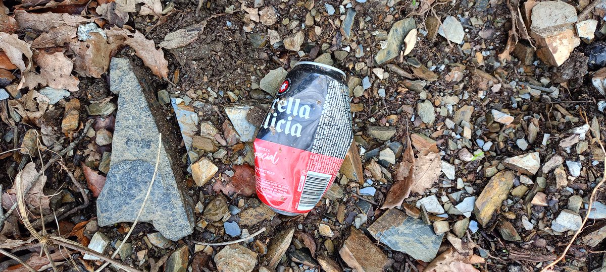 JoseLuisSTAP's tweet image. Avui @parcncollserola de Barcelona. @ecovidrio i @ecoembes primen els beneficis i no la seva responsabilitat social i legal de recuperar els #envasos que inunden el mercat. Els contenidors verd/groc no funcionen i es neguen a reduir envasos i un Sistema de Dipòsit i @_Retorna