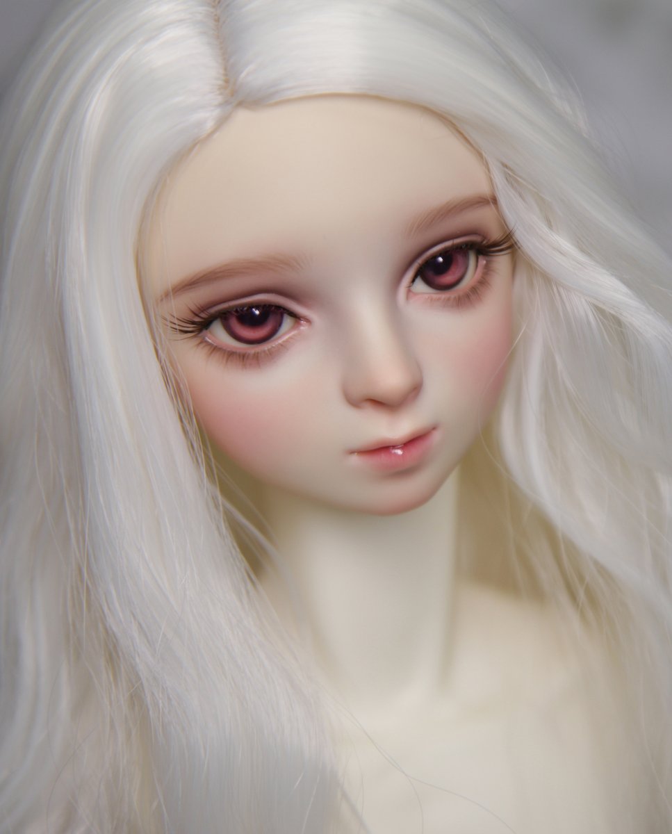 보크스 /아나이스 / 노멀