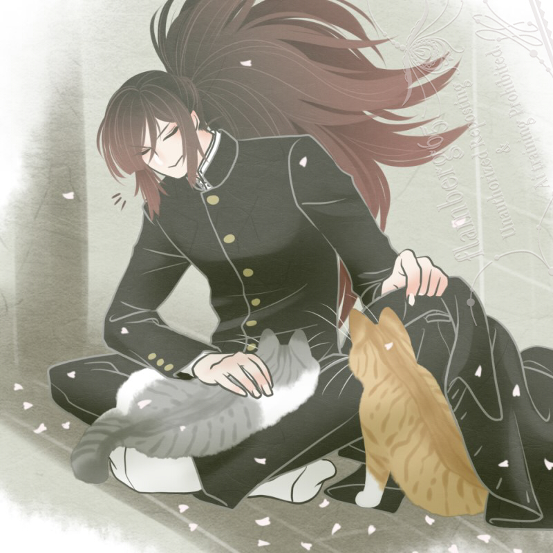 「学ランと猫 」|散骨のイラスト