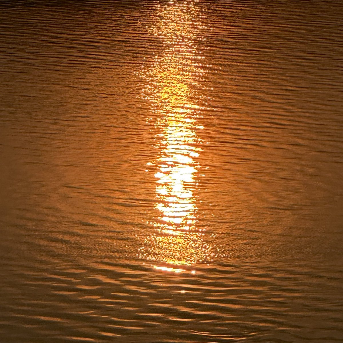 yoxrgravity's tweet photo. sunset is my favorite colour  :— ) https://t.co/wZxYCViug2