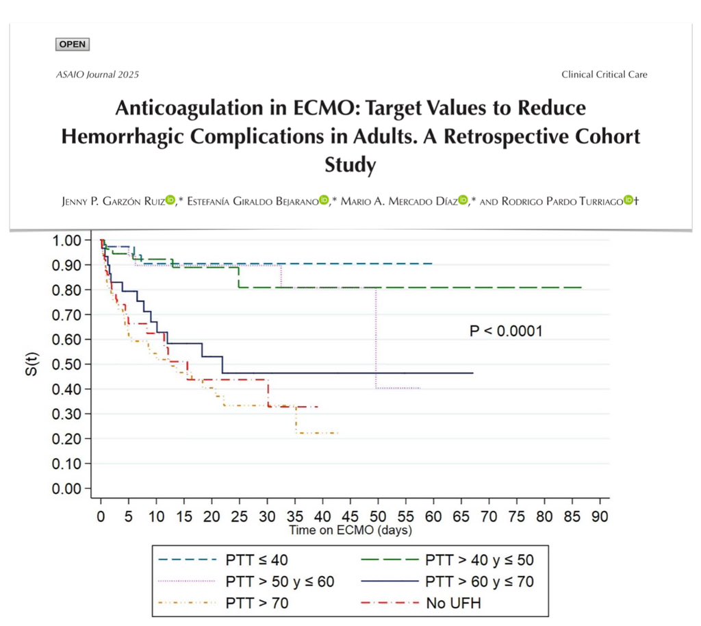 M Velia Antonini tweet media