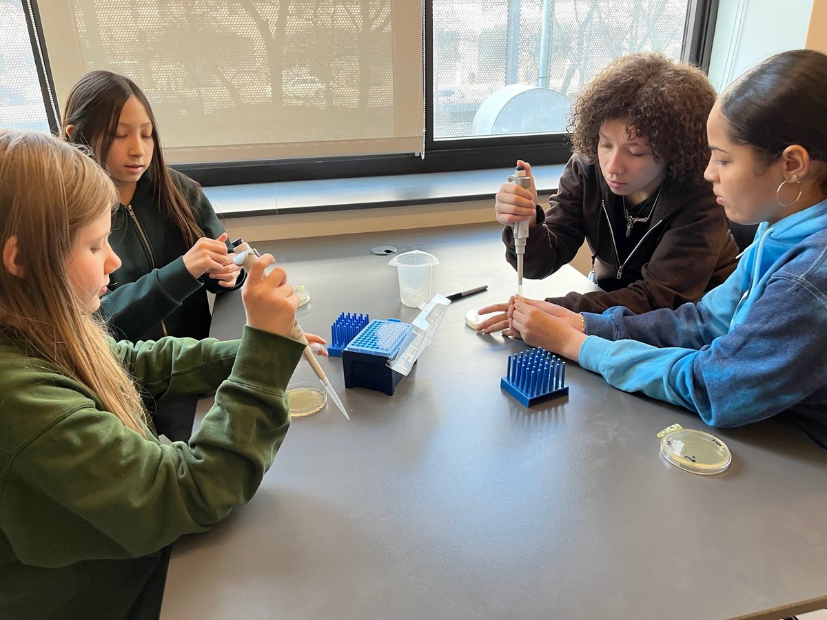 SuptCheng_CIOB's tweet image. Shoutout to Brooklyn Collab for an amazing day at the DNA Learning Center with Grade 7 students! From meeting Otzi the Iceman to studying bacteriophage viruses, science comes to life in the best way. 🌟🧬 #ExpeditionaryThursdays #DNAlearning #STEMeducation #BCS @NYCSchools