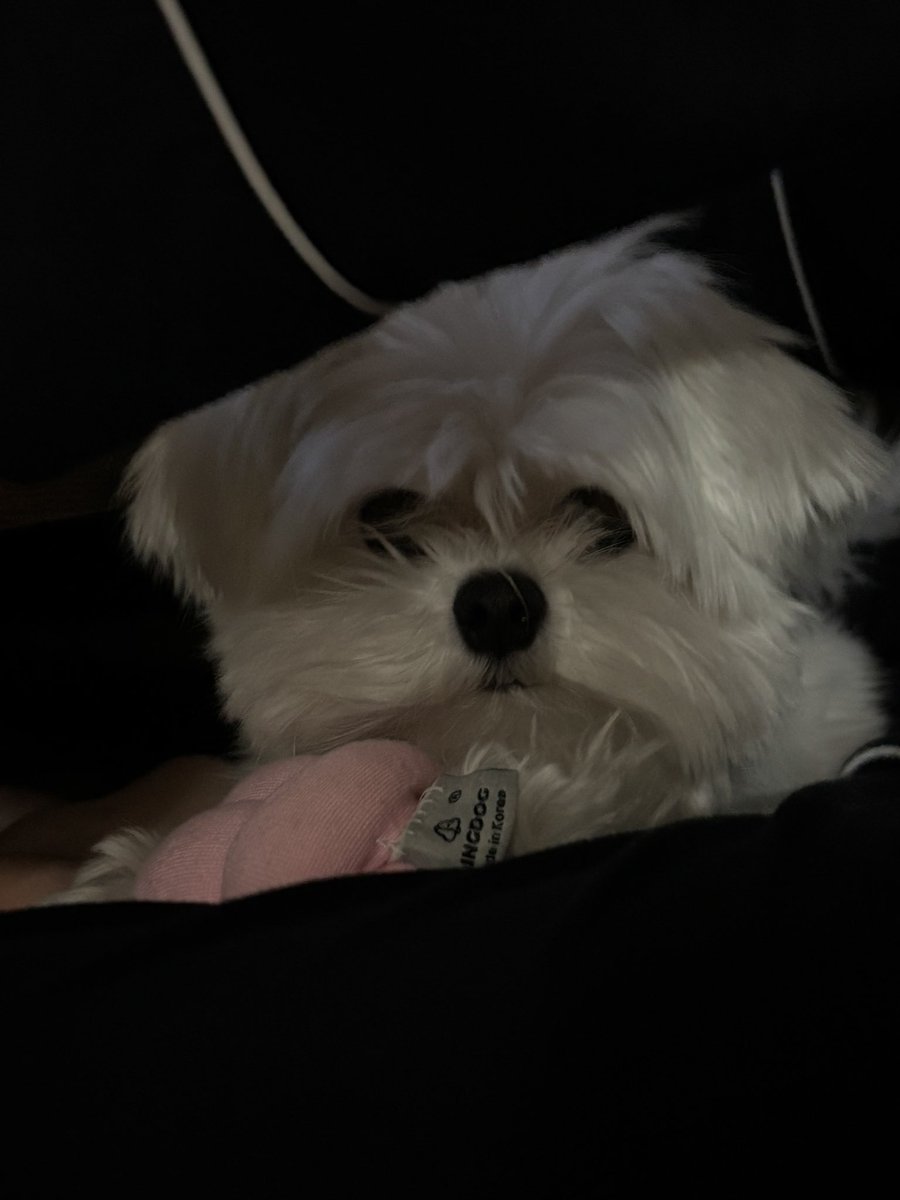 두나! (@twona_in_2021) on Twitter photo 