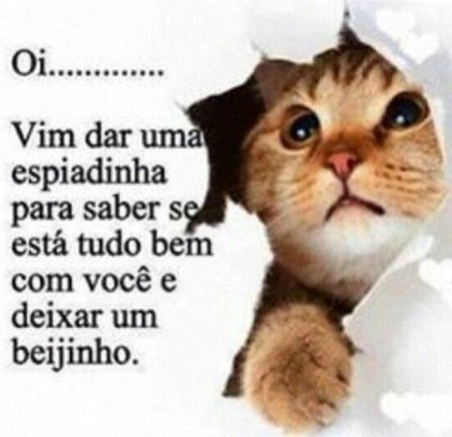 nelsonfarofinha's tweet photo. https://t.co/zgnpsZ8KZD