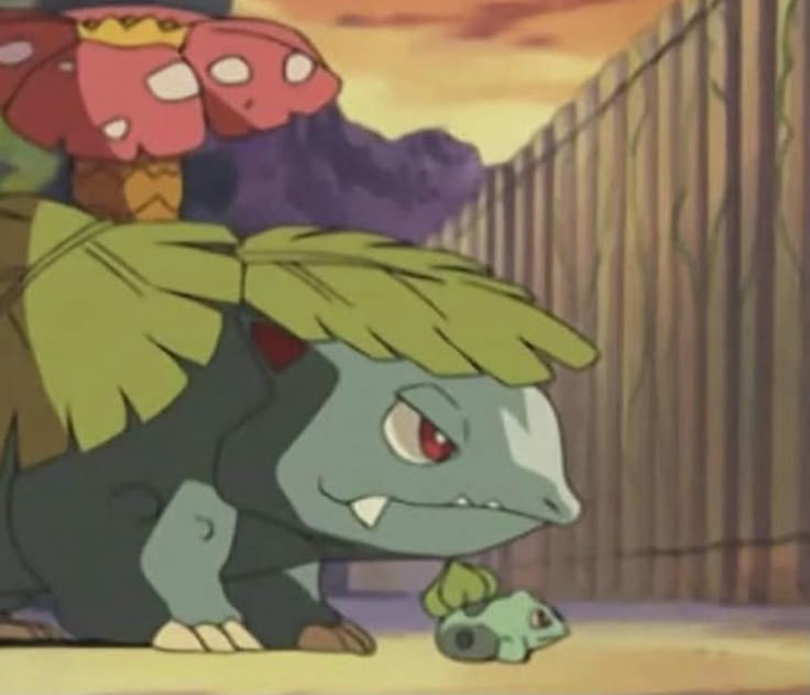 OoCPokemon's tweet photo. good morning https://t.co/hTjpl4b8jz