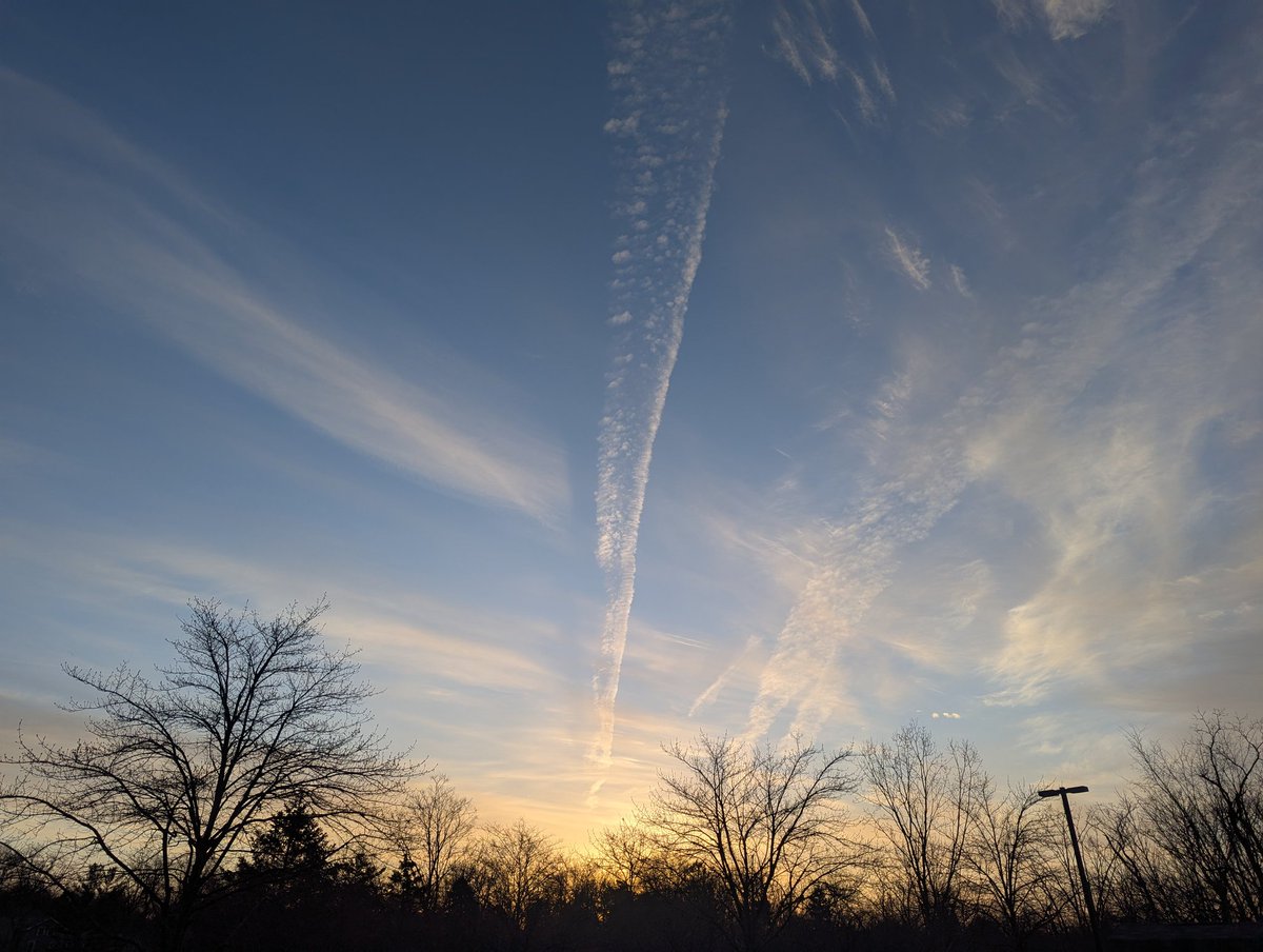 Graystar24 tweet media