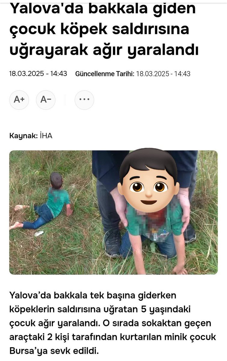 Yine olacak, yine olacak, yine olacak. Çünkü sen Bağdat Caddesi'nde ya da Bebek sahilinde gördüğün bir iki tane sümsük itin sevimli ve zararsız olduğunu sanıp, gerçek hayatta ne yaşandığını bilmiyorsun.