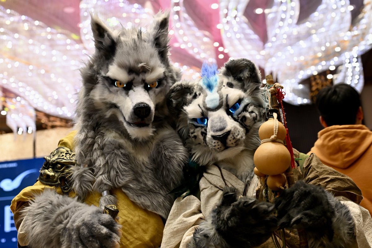 Ready to conquer the dungeon!
#furry #fursuits #山君工坊