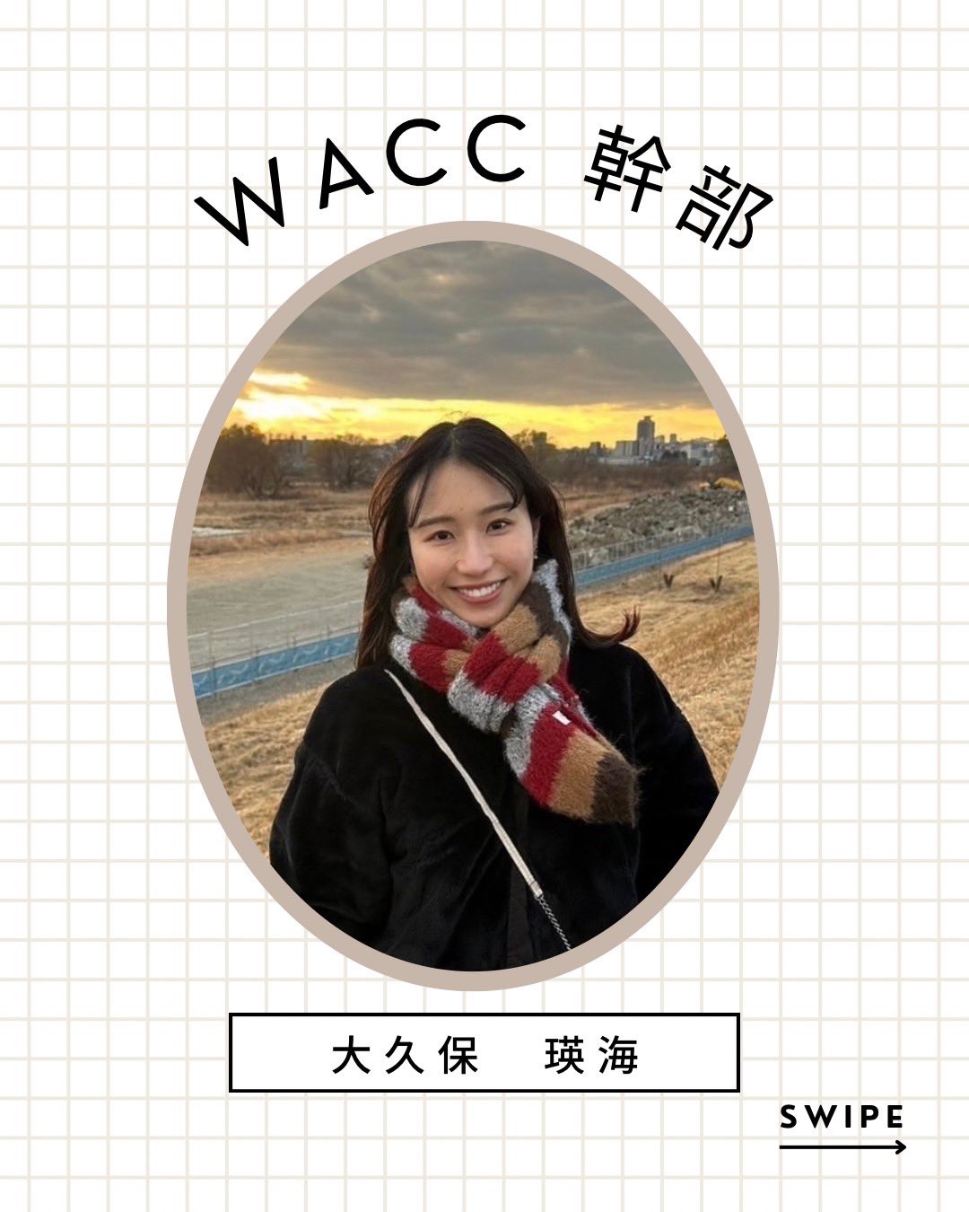 2024早稲田商【数学】解答速報