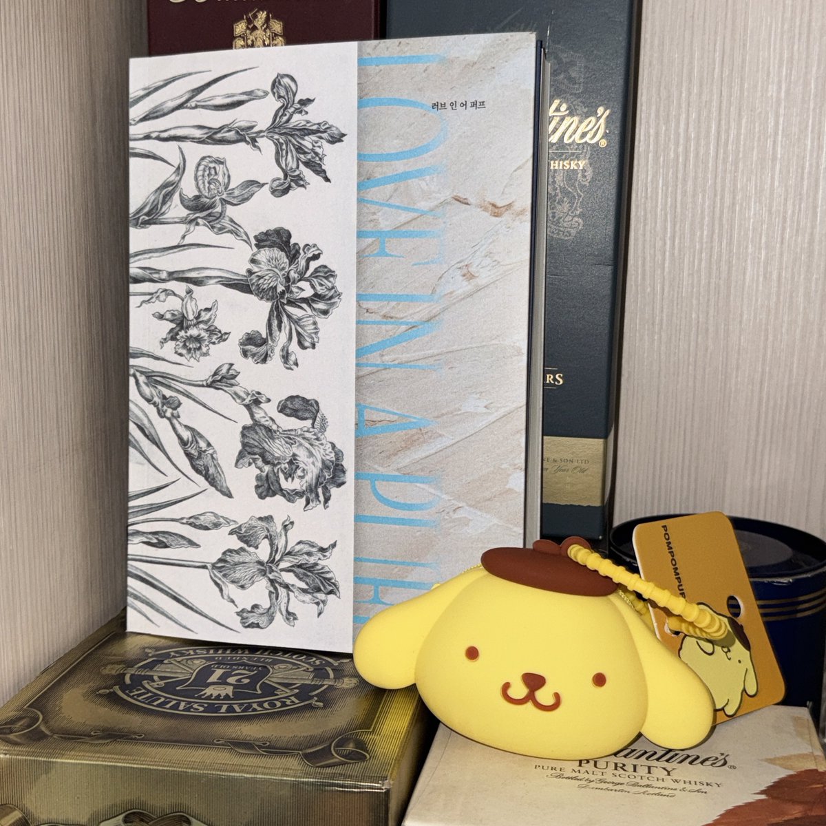 허거덩거덩스
수고하신 당신...
케켓팅할준비해🎂
<a href="/kkakpepper/">페퍼</a>