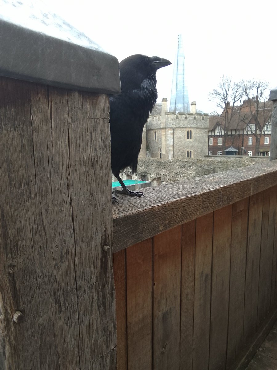 Oxhey Wood Primary School (@woodoxhey) on Twitter photo Year 5 had a fantastic visit to <a href="/TowerOfLondon/">The Tower of London</a> this week. They enjoyed the #train rides much as their learning about the #Tudors! #History #enrichment <a href="/Agora_LP/">Agora Learning Partnership</a> Year 5 had a fantastic visit to <a href="/TowerOfLondon/">The Tower of London</a> this week. They enjoyed the #train rides much as their learning about the #Tudors! #History #enrichment <a href="/Agora_LP/">Agora Learning Partnership</a>