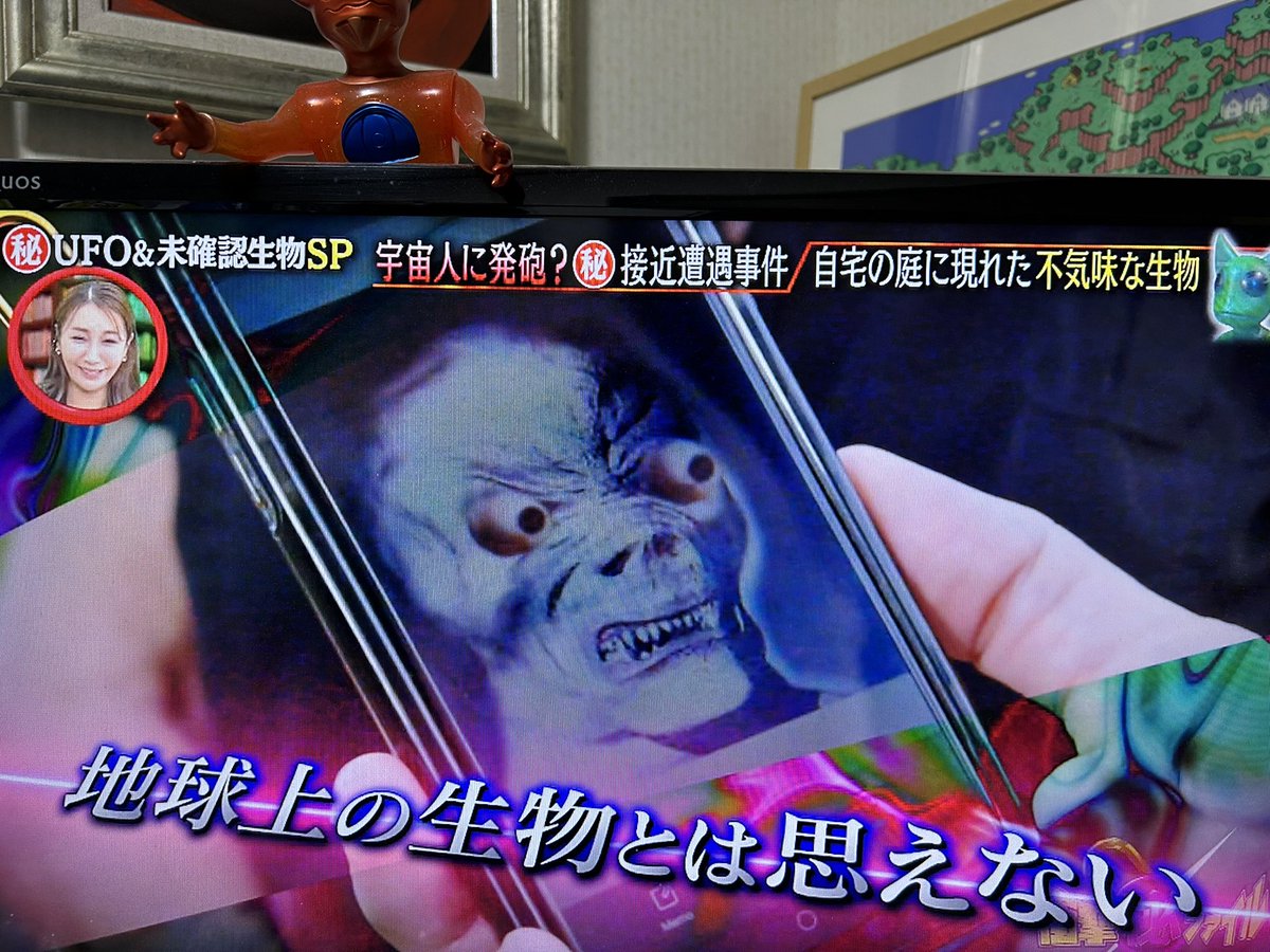 録画した衝撃マル秘ファイルを観ているが、ホプキンスビル事件の 