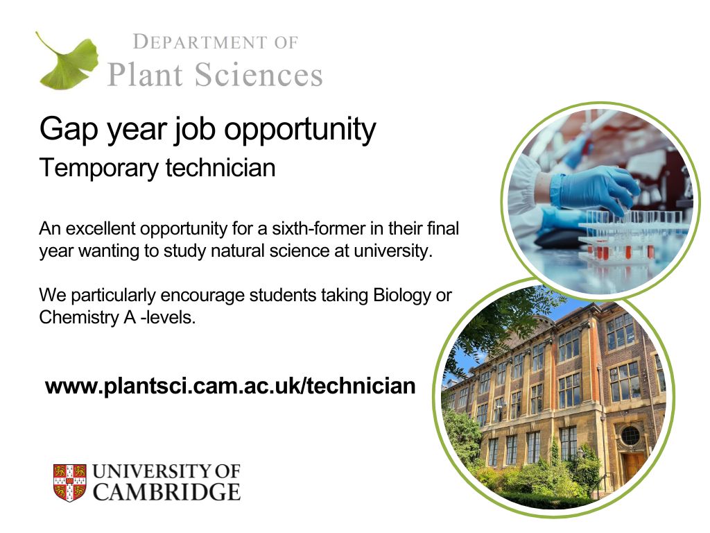 Department of Plant Sciences Cambridge tweet media