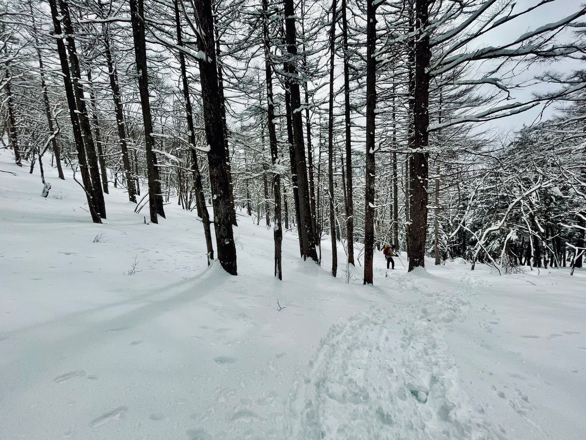 Koppe@commissions open (@lol_koppe666) on Twitter photo 