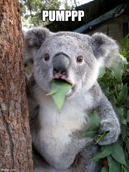 Money follows the hype! 🚀 Meme coin capital is flooding into BSC, taking over the market. New meme coin king ARISE! 👑