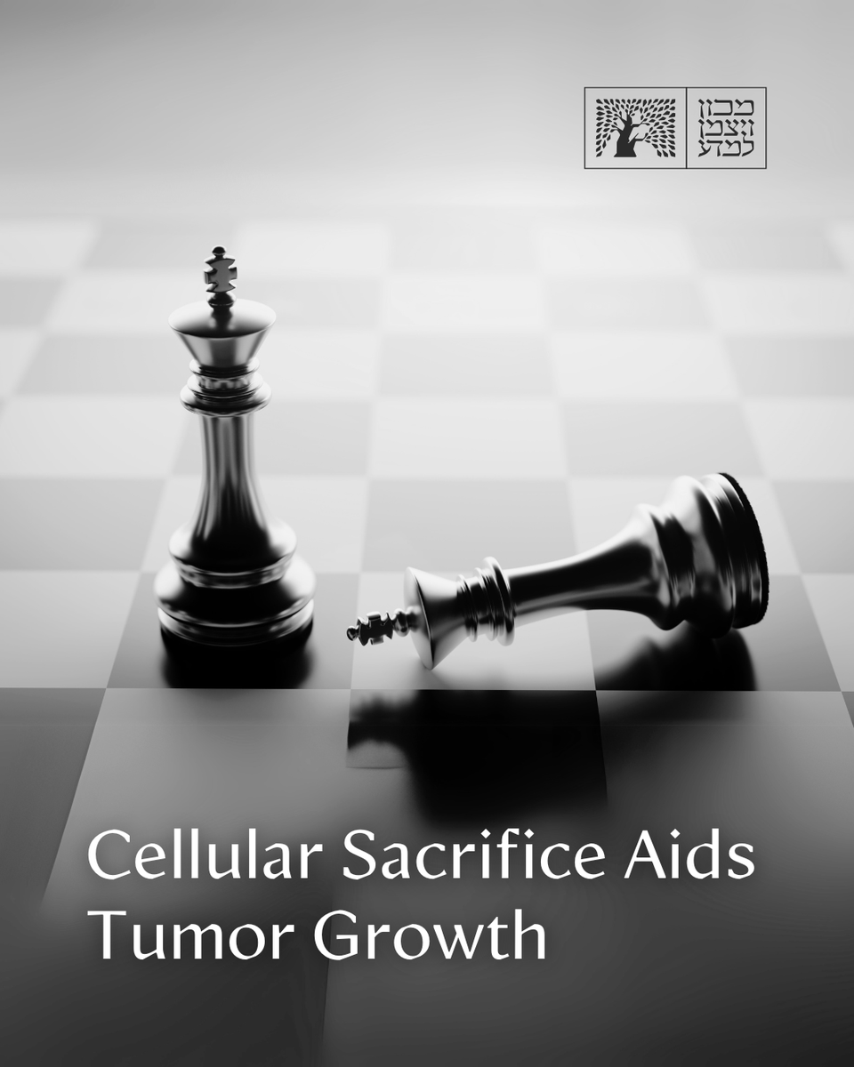 Healthy cells in the vicinity of malignant tumors can be co-opted by cancer, helping it evade the immune system &amp; anti-cancer treatments. A new study from Prof. Ruth Scherz-<a href="/shouval/">Ruth Shouval</a>’s lab reveals the surprising lengths to which this cellular collab can go&gt;&gt;