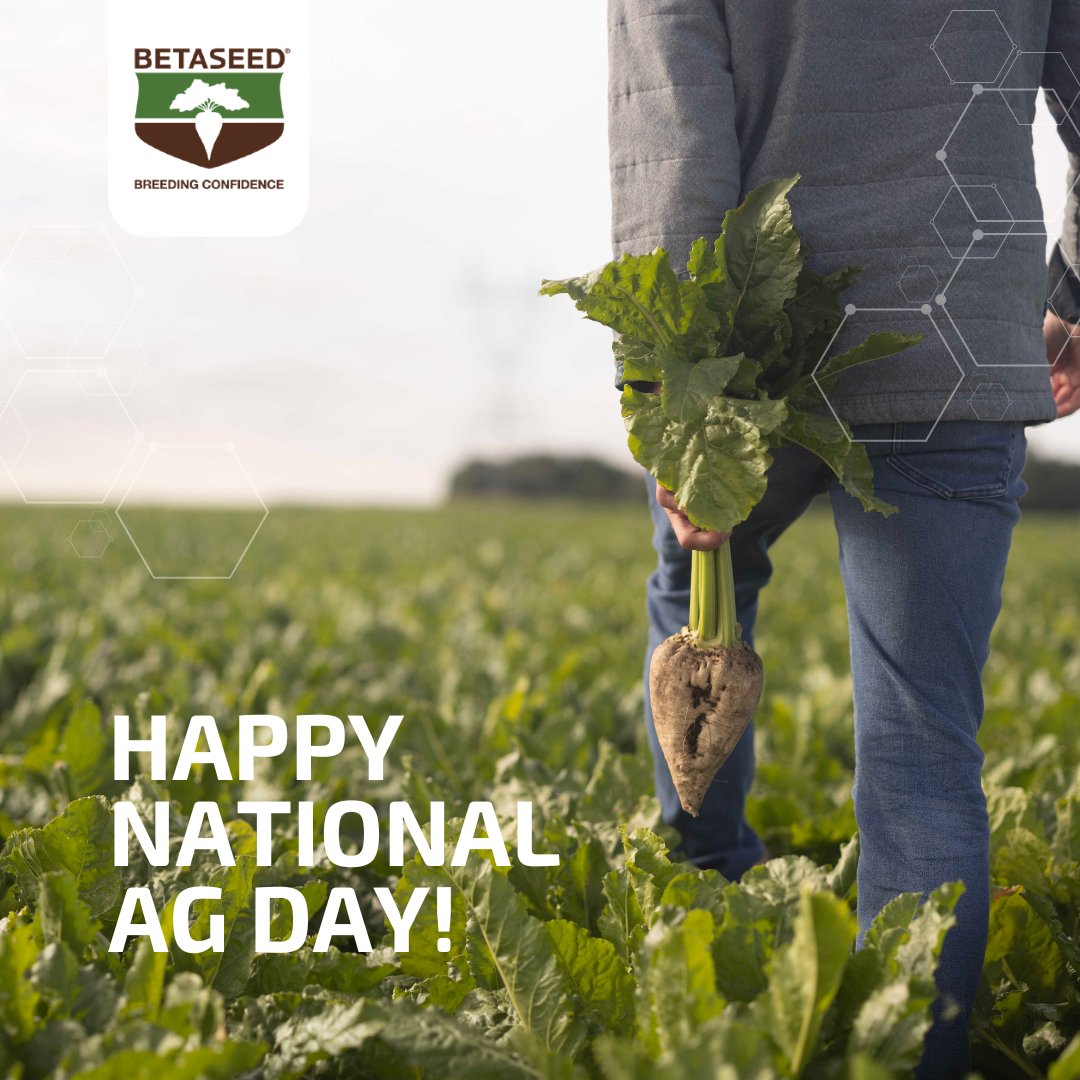 Happy National Ag Day to all the incredible farmers and growers.  🌱 🚜Thank you for your tireless efforts and commitment to agriculture. 
#Betaseed #NationalAgDay