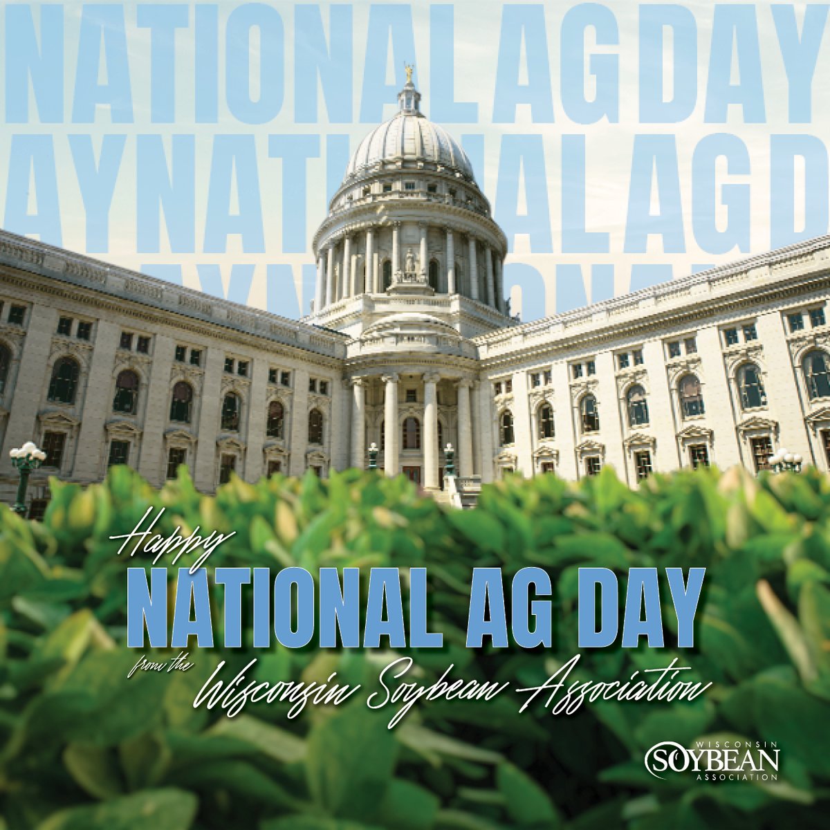 Happy National Agriculture Day!
Representing 1,200 members, the Wisconsin Soybean Association works to ensure farm-friendly policies set at the local, state and national level help improve profitability for Wisconsin’s nearly 14,000 soybean farmers.