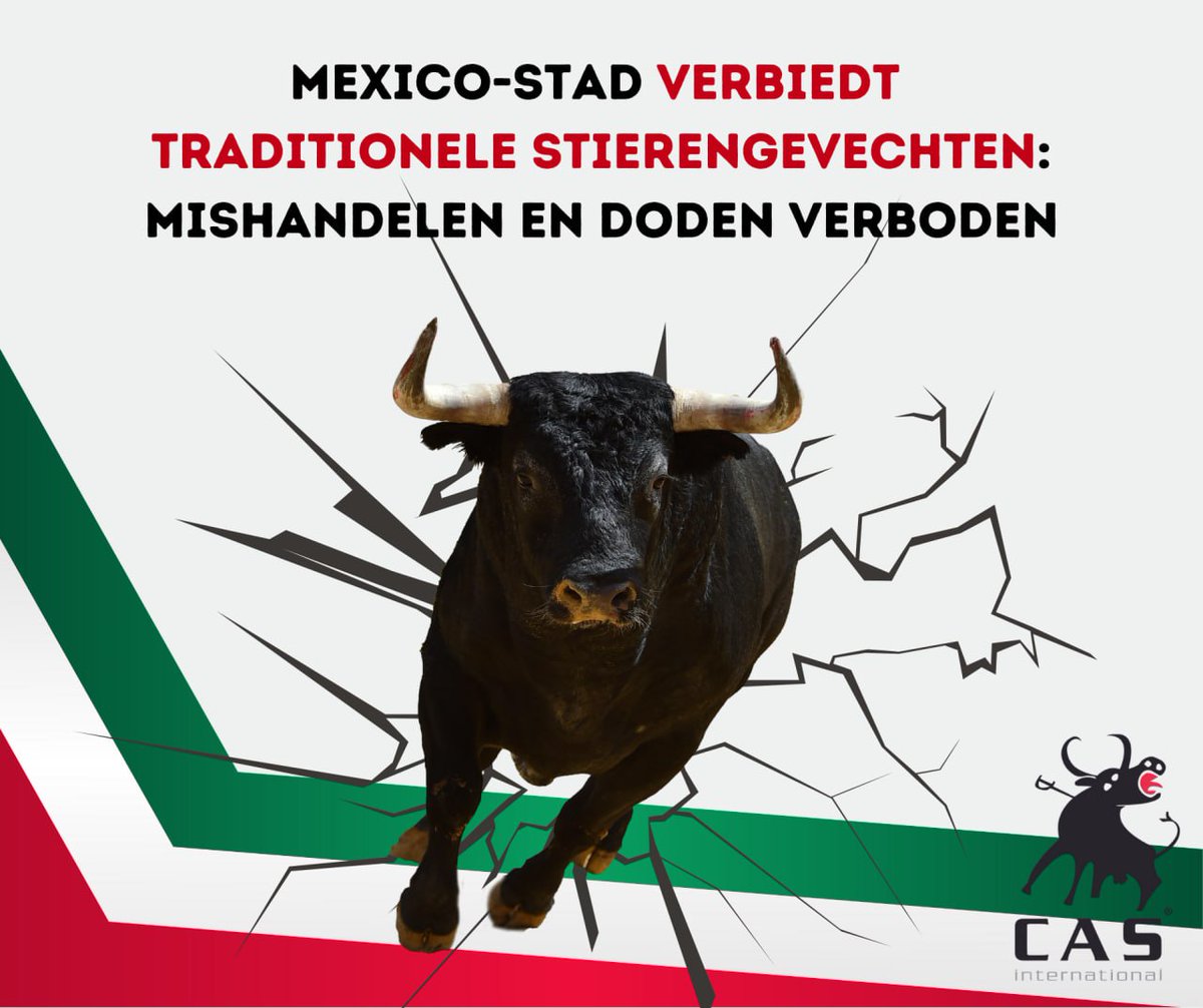 Mexico-Stad verbiedt traditionele stierengevechten!

Vandaag stemde het Congres voor een verbod op het mishandelen en doden van stieren tijdens deze wrede evenementen. Dit betekent het einde van traditionele stierengevechten in de grootste arena ter wereld!
