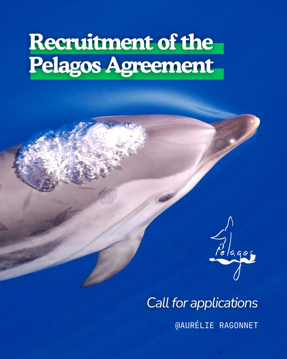 Call for application: Deputy Executive Secretary of the Pelagos Agreement

❗Application must be submitted until April 19, 2025 at 23:59 (Monaco Time).

➡For more details, see the job offer: pelagos-sanctuary.org/call-for-appli…