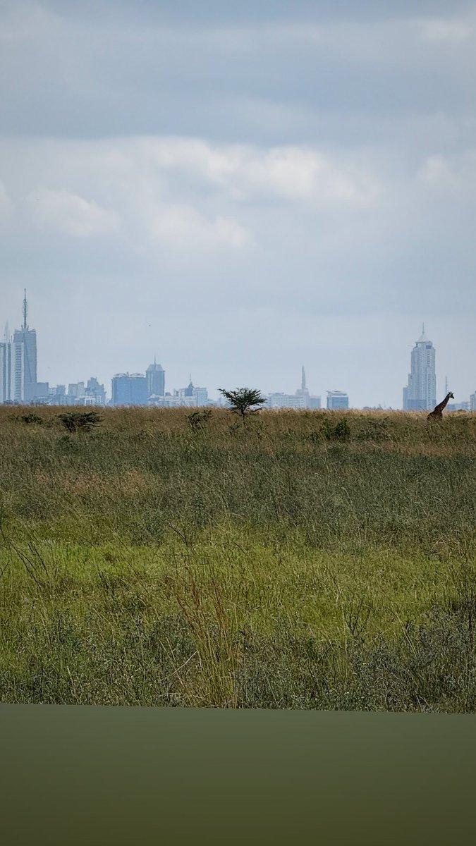 🇰🇪 Nairobi - what a city! 🇰🇪