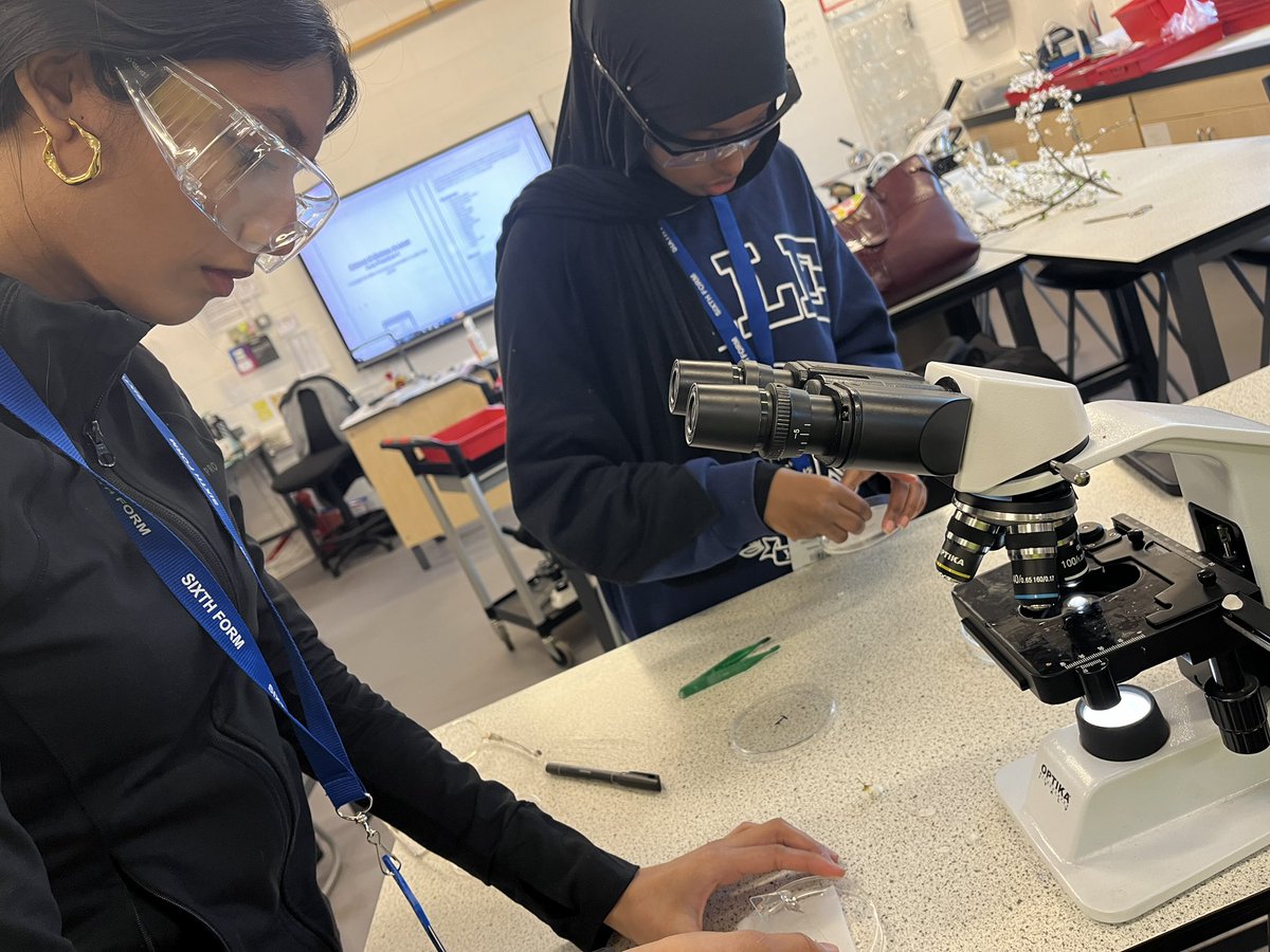 Brentside's tweet photo. Year 12 Biology students investigate pollen growth. Scientists of the future! https://t.co/O6MHZhyt58