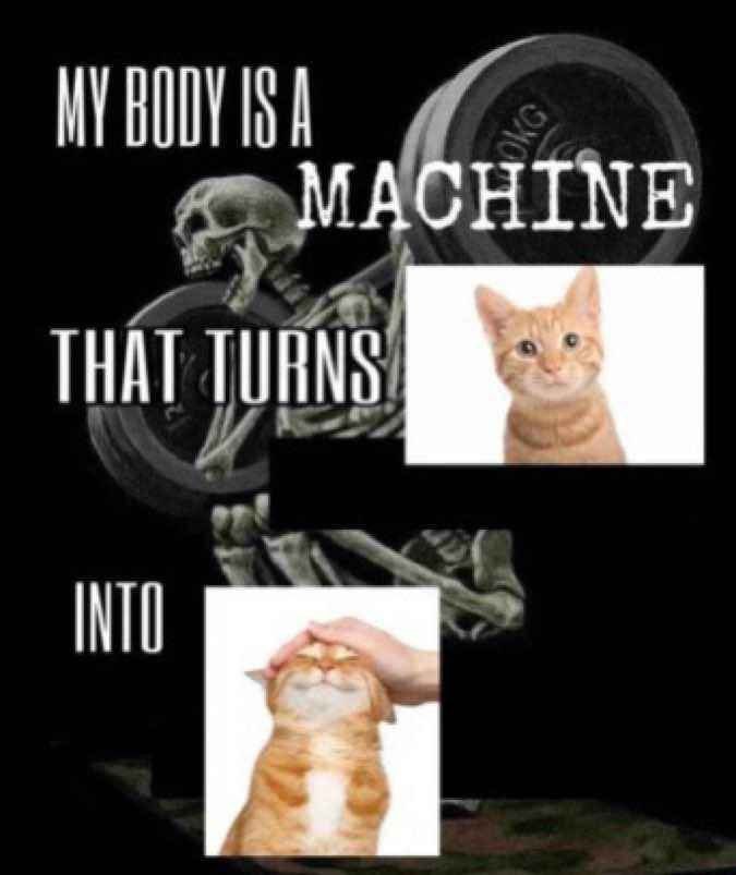 nocontextmemes's tweet photo. https://t.co/Mh38i6045e