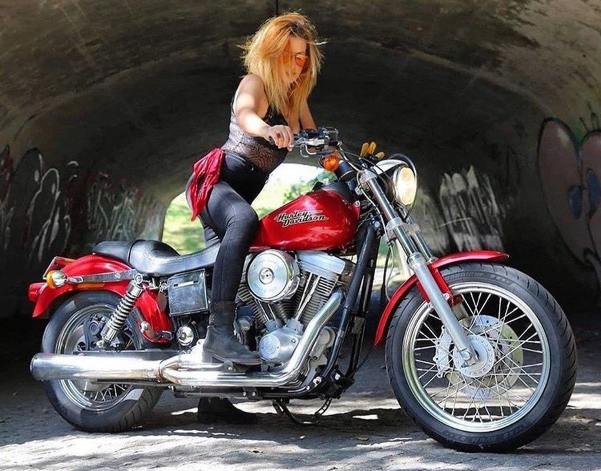 Biker Switchboard tweet media