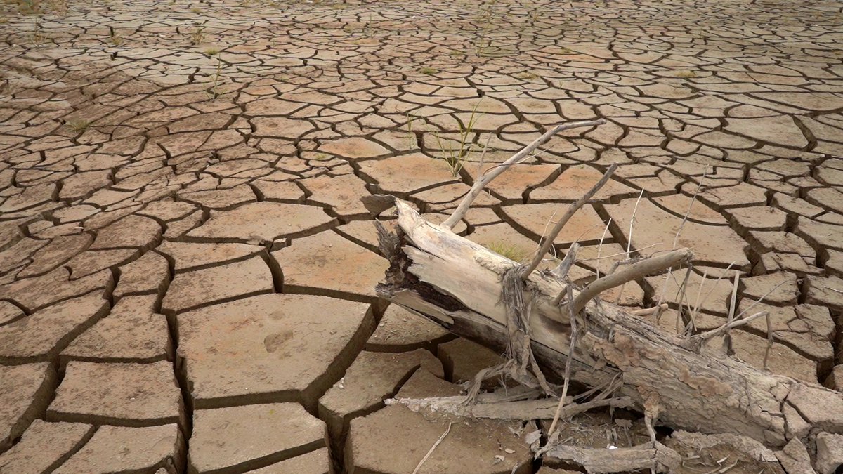 news.climate.columbia.edu/2025/03/18/des…
Desertification: The Earth is Getting Drier