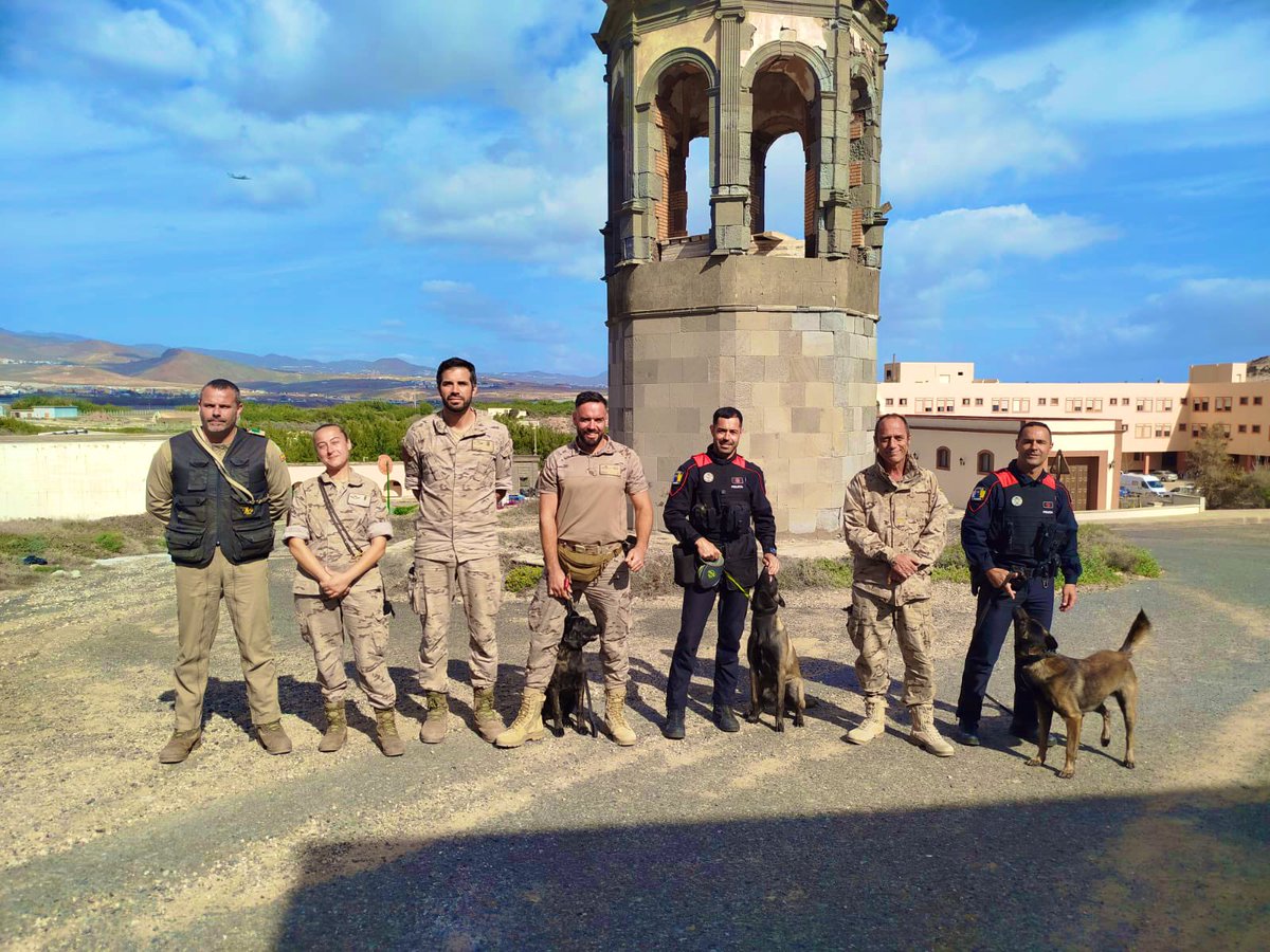 Ala46_ea's tweet image. Hoy recibimos a la @CGPCanaria para iniciar la instrucción conjunta con nuestra unidad cinológica. Un paso más en la cooperación entre cuerpos para mejorar la seguridad y el trabajo con nuestros binomios caninos.

@EjercitoAire