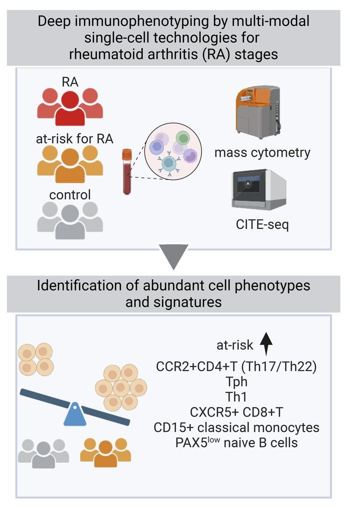 Waggoner Lab (@labwaggoner) on Twitter photo Deep immunophenotyping reveals circulating activated lymphocytes in individuals at risk for rheumatoid arthritis <a href="/jclinicalinvest/">Journal of Clinical Investigation</a> <a href="/FanZhang_Jessie/">Dr. Fan Zhang ⛵️</a> <a href="/Deepakarao/">Deepak Rao</a> <a href="/InamoJun/">Jun Inamo</a> <a href="/MHolers/">Michael Holers</a> <a href="/JALALFA/">James Lederer</a>
jci.org/articles/view/… Deep immunophenotyping reveals circulating activated lymphocytes in individuals at risk for rheumatoid arthritis <a href="/jclinicalinvest/">Journal of Clinical Investigation</a> <a href="/FanZhang_Jessie/">Dr. Fan Zhang ⛵️</a> <a href="/Deepakarao/">Deepak Rao</a> <a href="/InamoJun/">Jun Inamo</a> <a href="/MHolers/">Michael Holers</a> <a href="/JALALFA/">James Lederer</a>
jci.org/articles/view/…