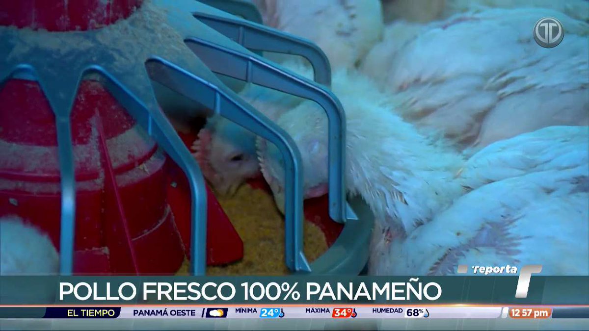 Telemetro Reporta tweet media