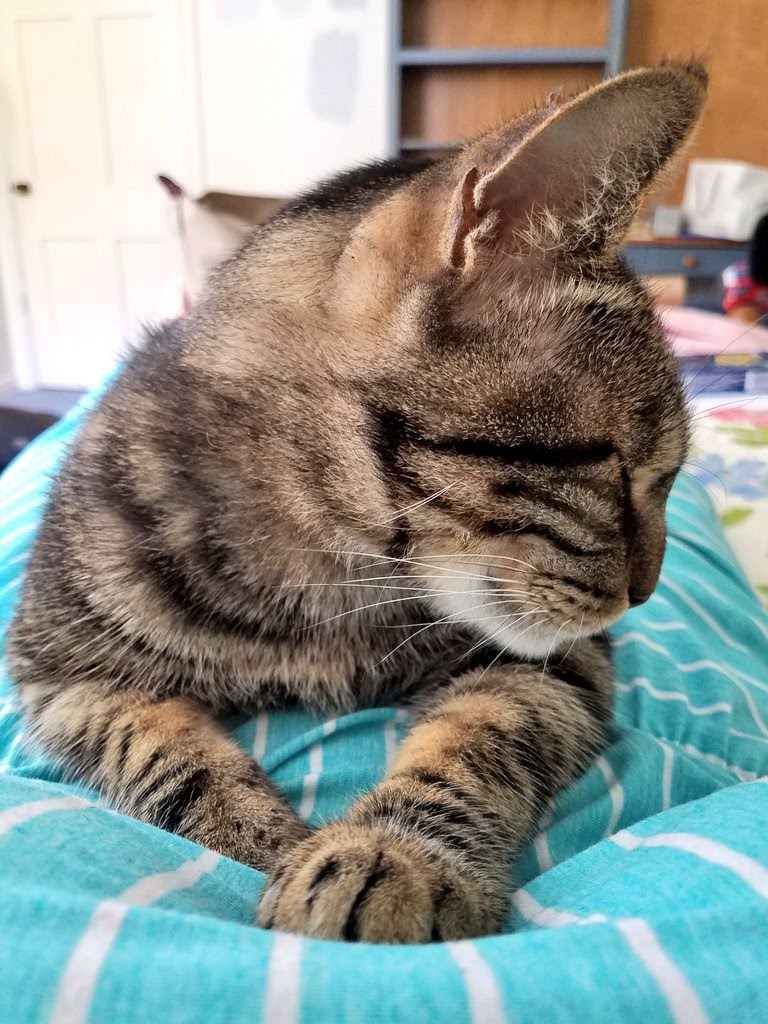 Princess Kelley May tweet media