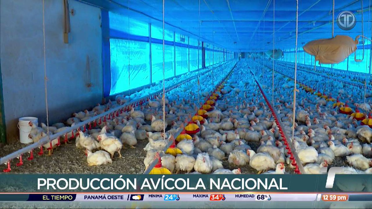 Telemetro Reporta tweet media
