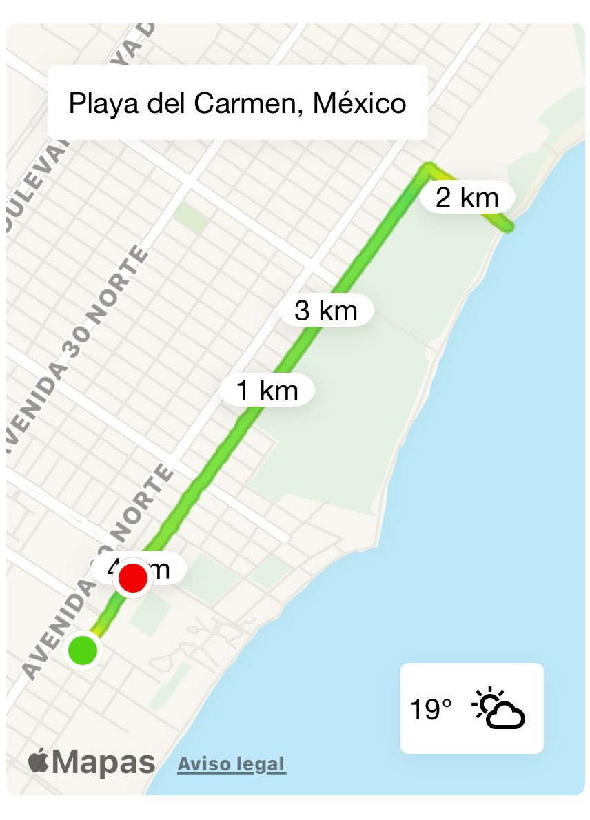 fboneta's tweet photo. Hoy si hubo paseo por la 5a. Av. fresca mañana y el mar una piscina; corrí 4.03 km + pushups + pullups + fierros callejeros + nadada caribeña #oldschool #endorphinejunkie #horafeliz #paquete https://t.co/dI6IIs50L9