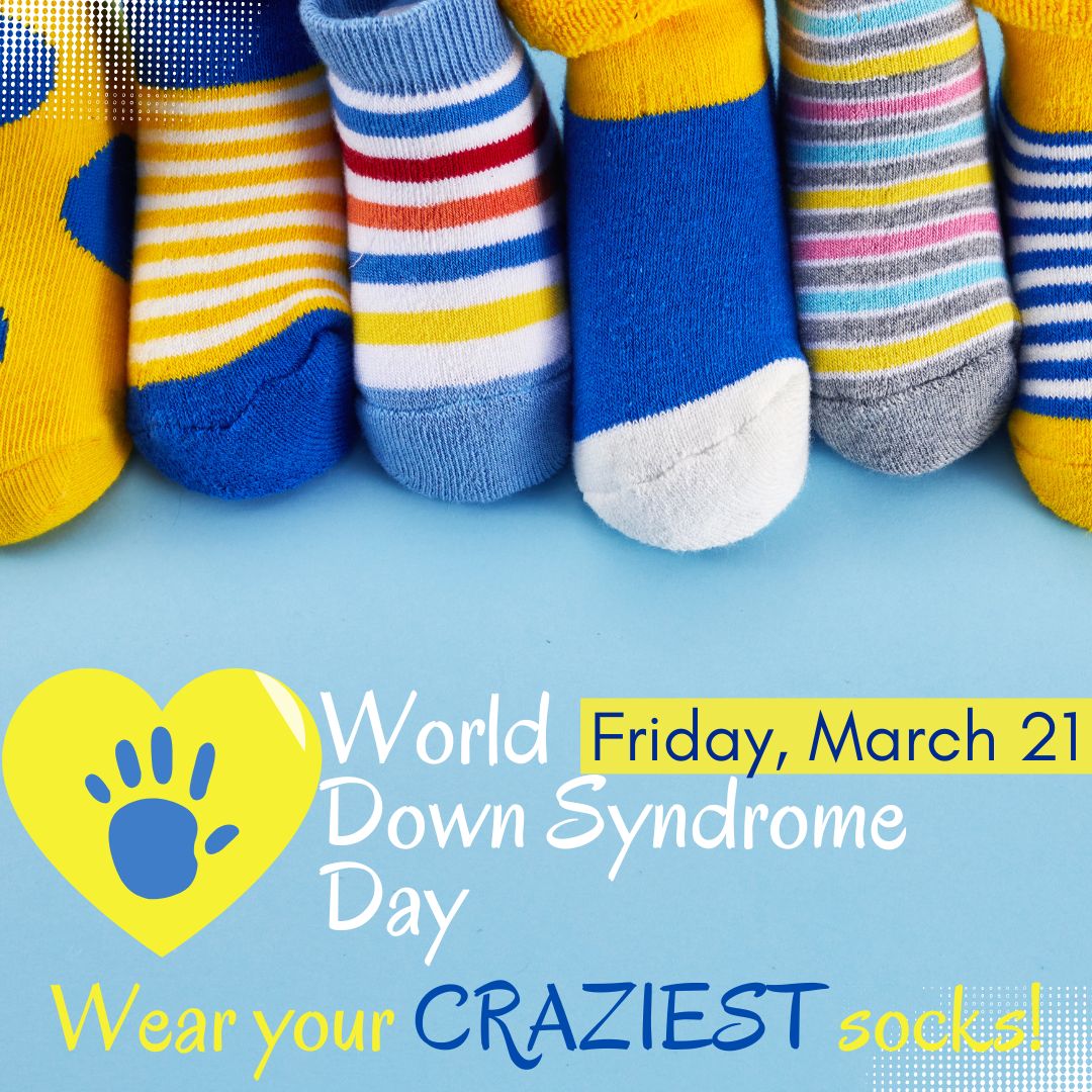 Mesa View Elementary tweet media