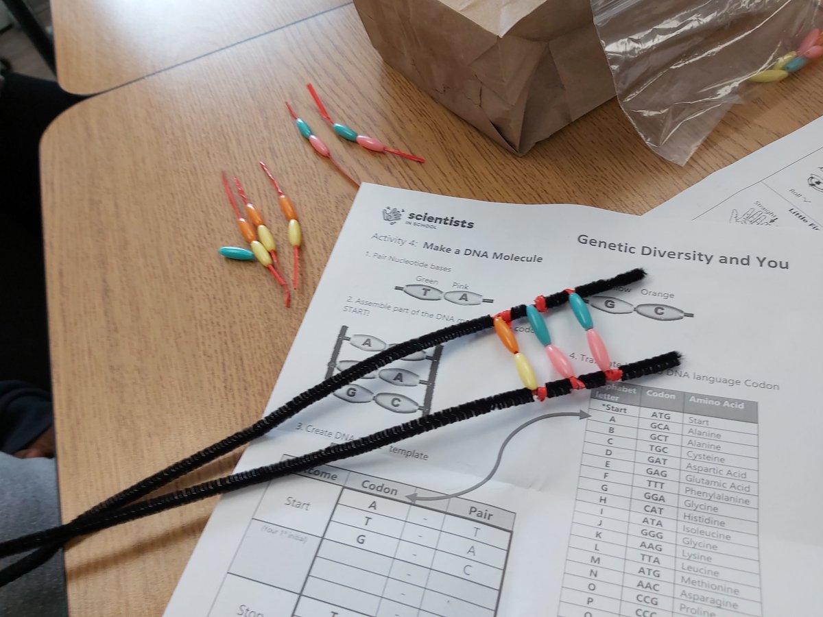 Grade 7/8 World tweet media