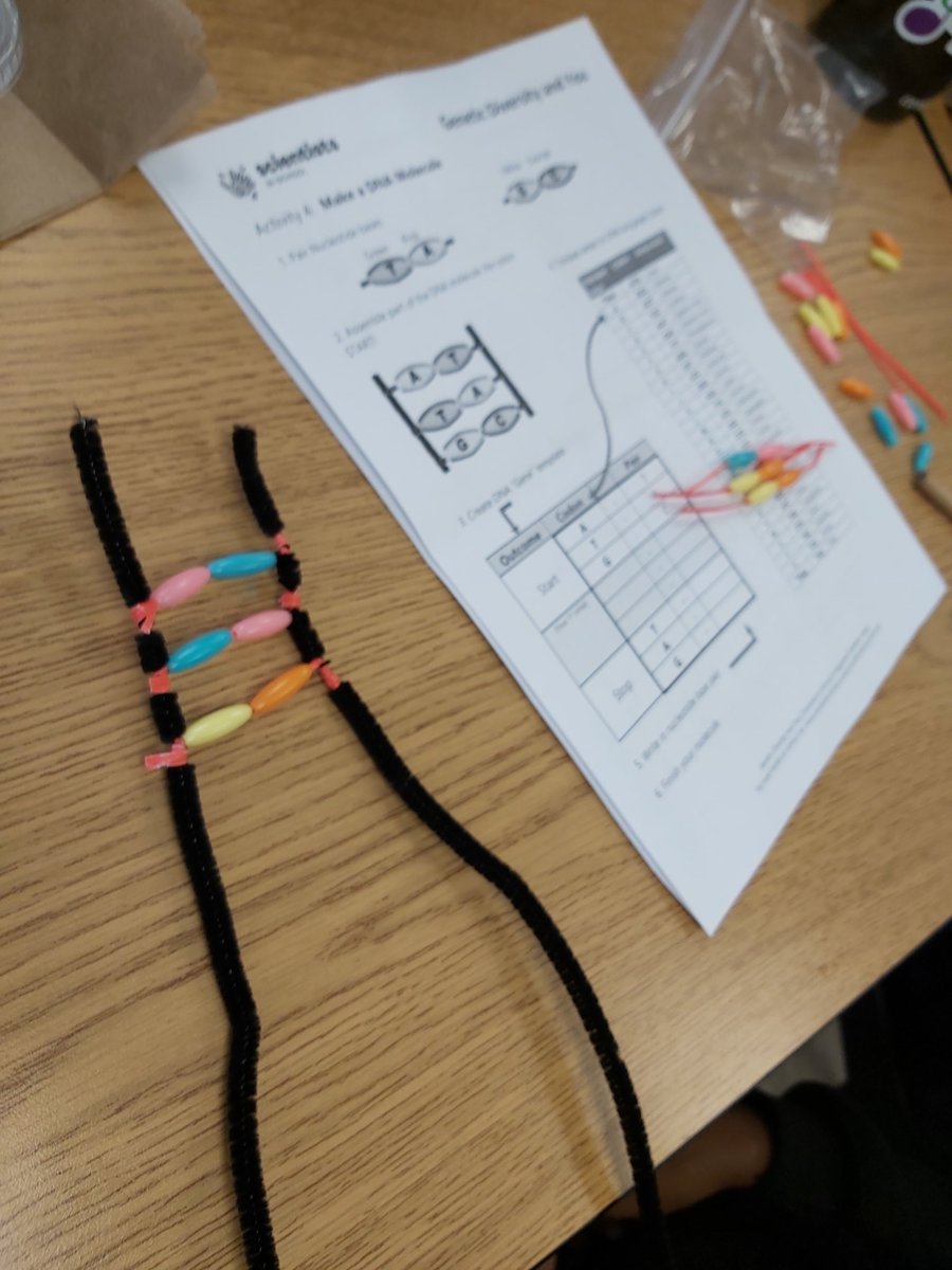 Scientists In School - Genetic Diversity and You