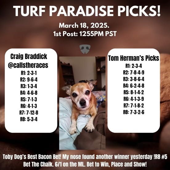 turf_paradise's tweet photo. Earlier Post Time today of 1255PM PST! Toby Dog had a winner yesterday and the nose that knows is back for more action today as we welcome our regular Guest Handicapper, Tom Herman! https://t.co/HdDsR7EHpI