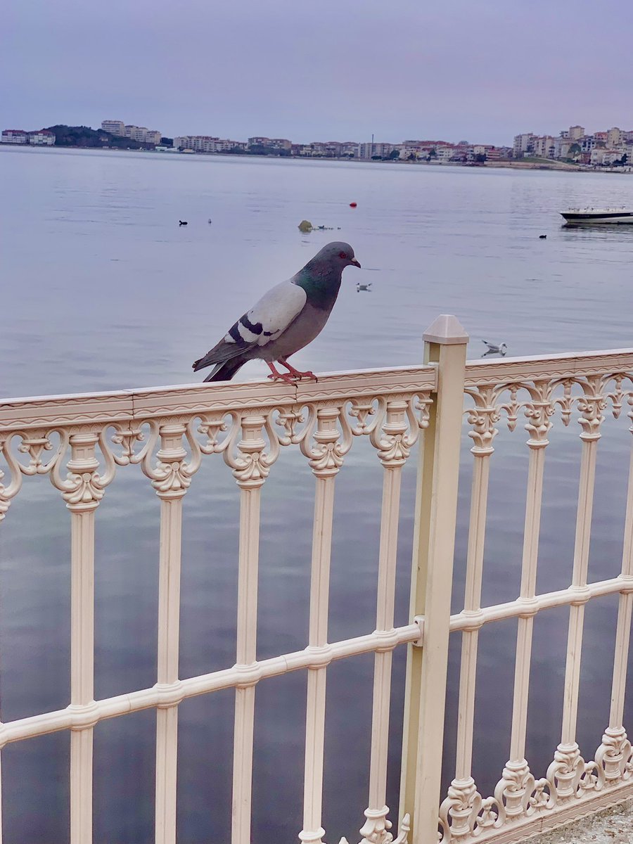 Herkesin dilinde “eski zamanlar” özlemi, oysaki eskiyen  zaman değil; eksilen yıllar ve değişen insan/lık/lar…