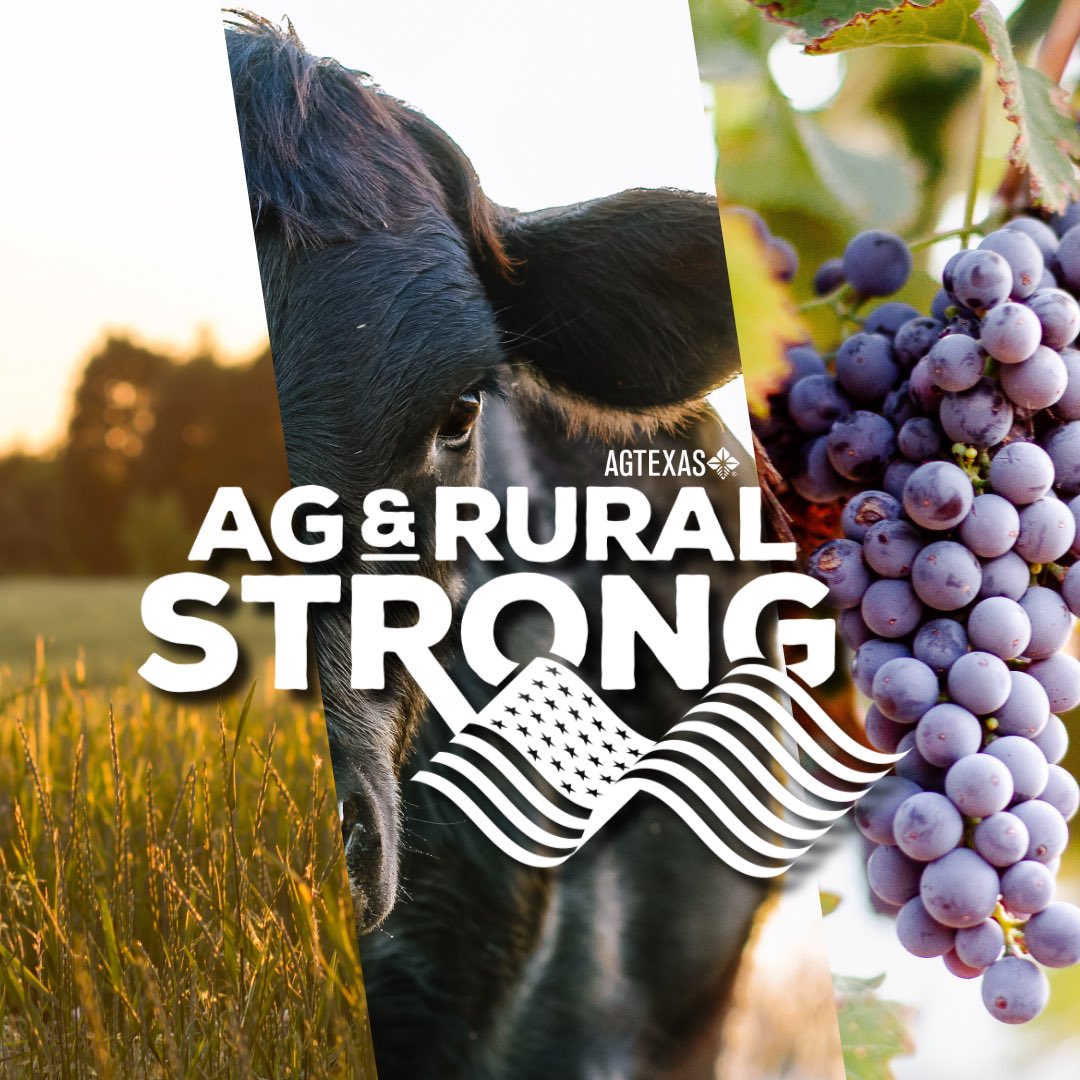 AgTexas Farm Credit Services (@agtexasfcs) on Twitter photo Happy ๐ต๐๐๐๐๐๐๐ ๐จ๐ ๐ซ๐๐! ๐บ๐ธ๐พ ๐๐
At #AgTexas, weโre honored to stand by the individuals that continue to show up and provide for not just our nation, but the world! Your dedication deserves to be recognized everyday!
#AgStrong #RuralStrong #AgDay2025 Happy ๐ต๐๐๐๐๐๐๐ ๐จ๐ ๐ซ๐๐! ๐บ๐ธ๐พ ๐๐
At #AgTexas, weโre honored to stand by the individuals that continue to show up and provide for not just our nation, but the world! Your dedication deserves to be recognized everyday!
#AgStrong #RuralStrong #AgDay2025
