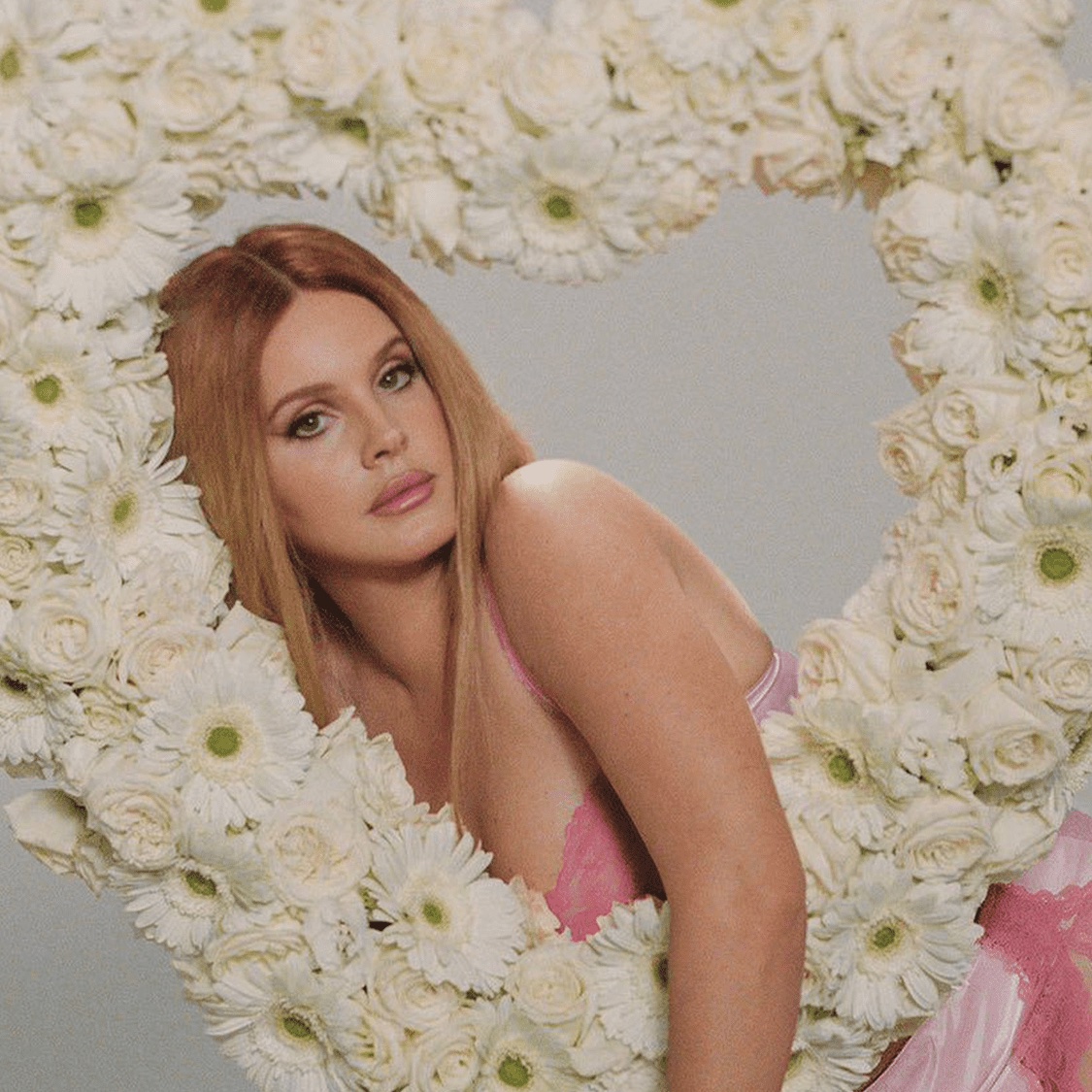 chart data tweet media