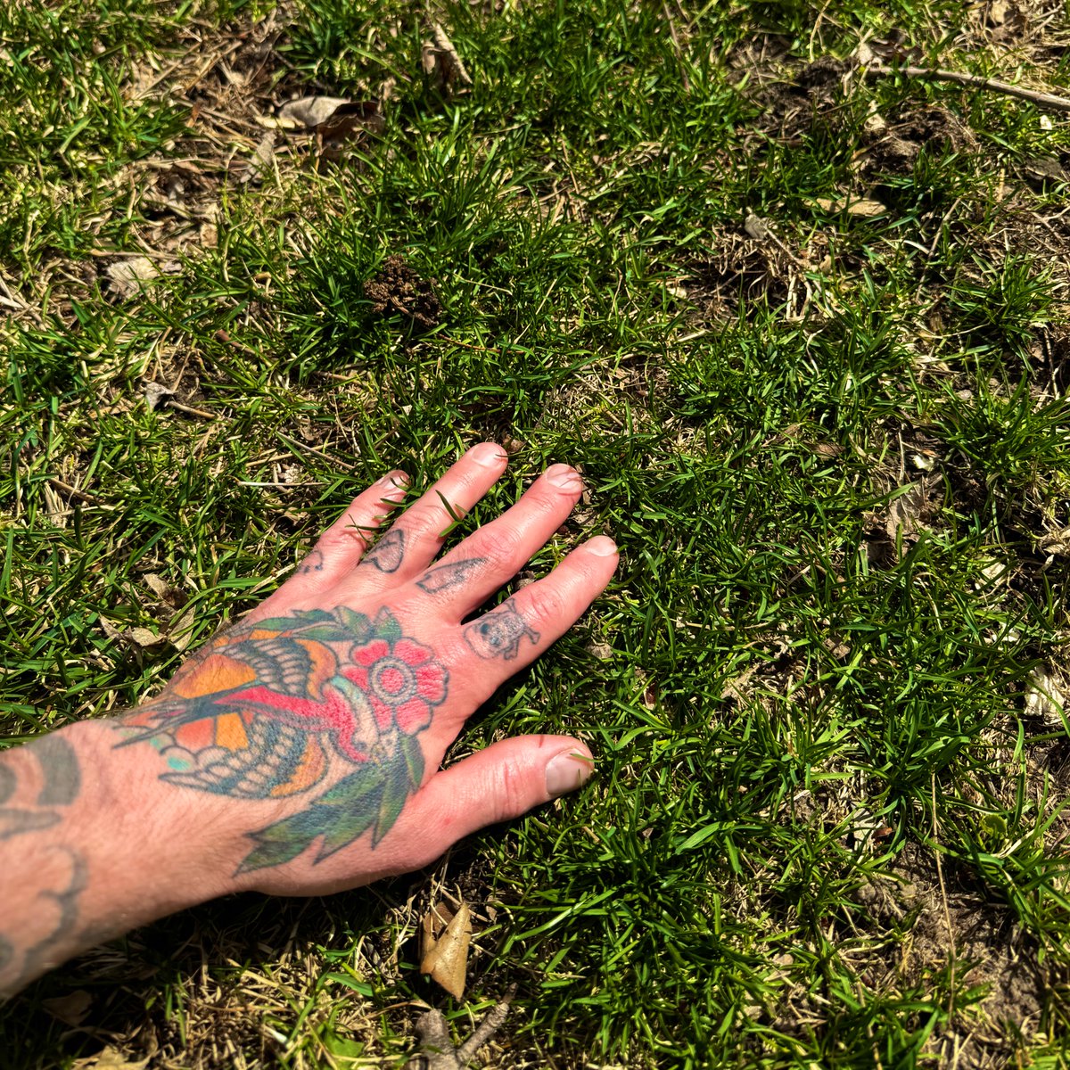 OptimusKevTron1's tweet image. I think I figured out why I don’t panic easily. 

Has anyone else ever tried touching this stuff before?