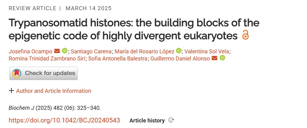 Rosario López tweet media