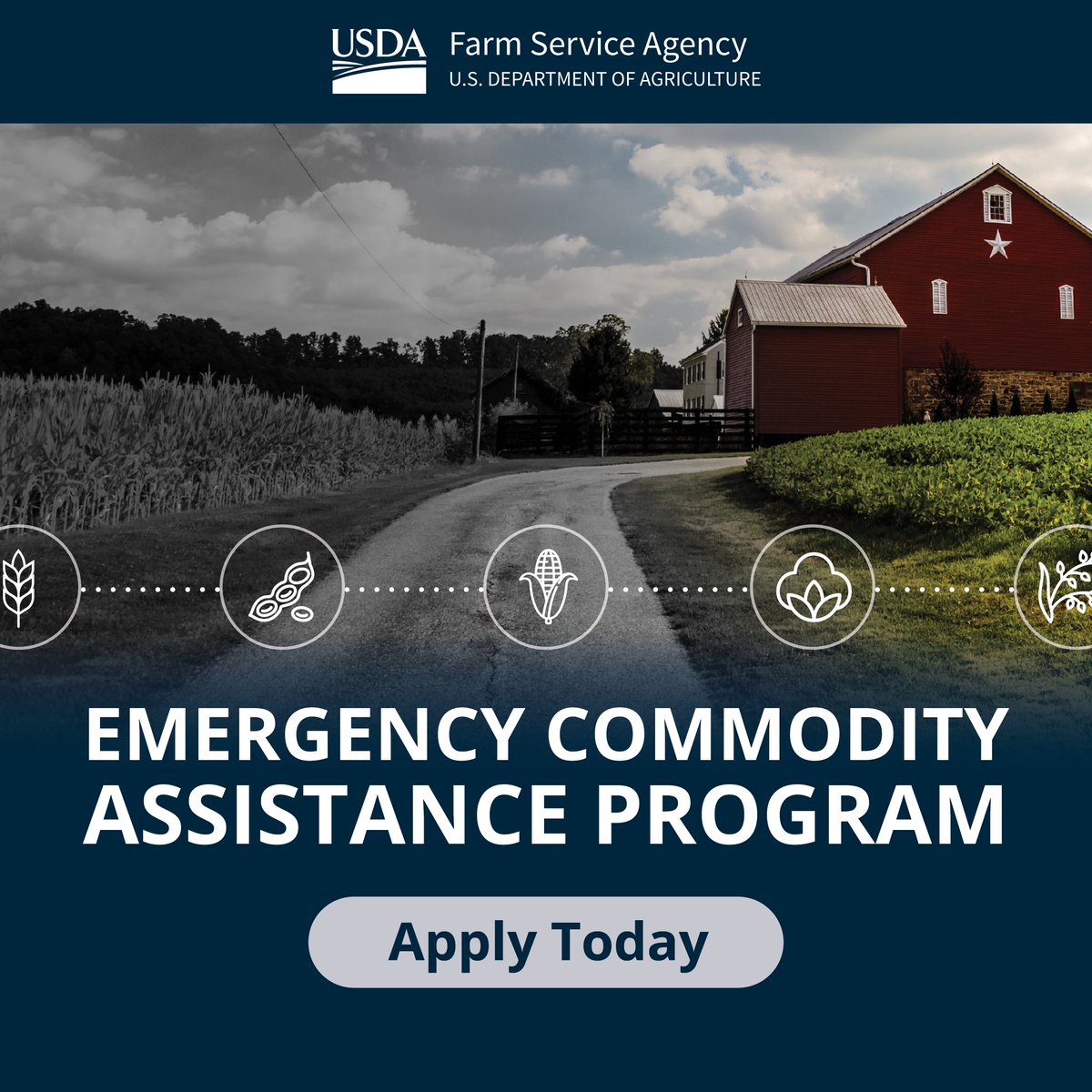 $10 billion in direct economic assistance payments will soon be issued via the Emergency Commodity Assistance Program to help agricultural producers overcome increased input costs 📈and falling commodity prices 📉 for the 2024 crop year. Details: fsa.usda.gov/news-events/ne…