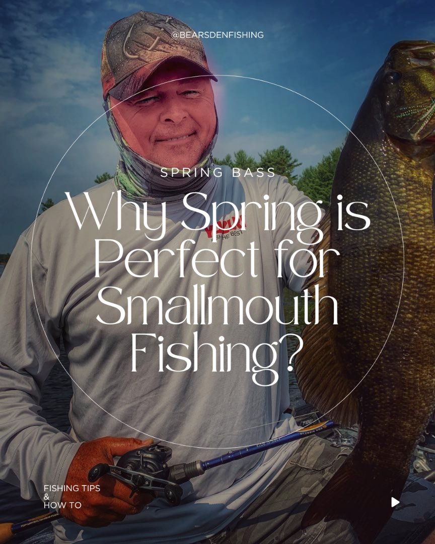BearsDenFishing's tweet image. Spring smallmouth bass fishing on Ontario’s French River in 60 days. Discover hidden spots &amp;amp; pro tips to make the most of your trip.   
Read more:
bearsdenlodge.com/spring-smallmo…

#FishingFrenchRiver #Smallmouth #SpringFishing #HowTo